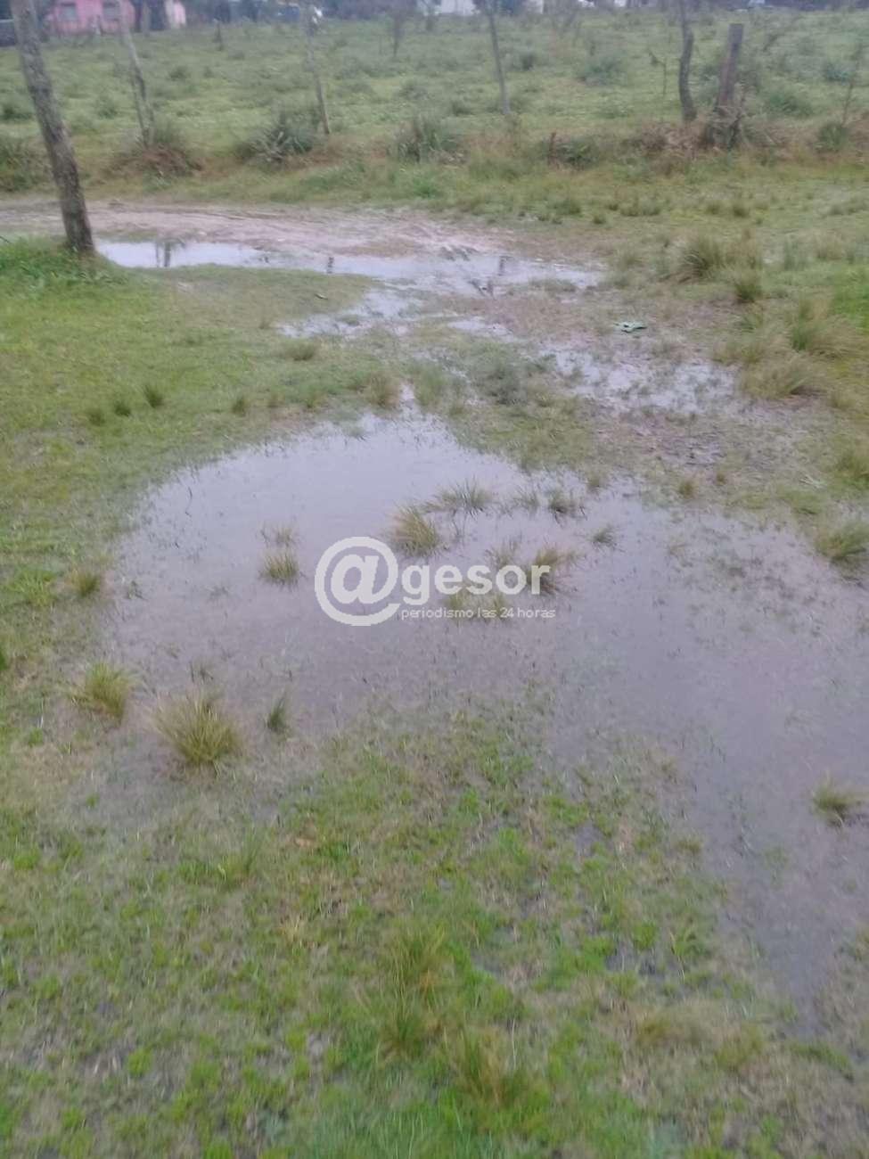 Image2